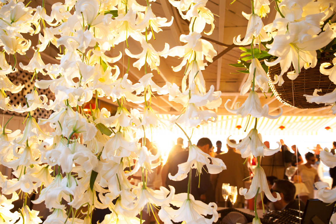 Hanging Orchids at Wedding