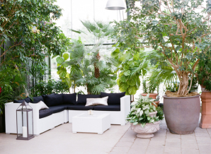 Lounge Area in Wedding Greenhouse
