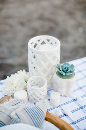 White Vases with Succulents