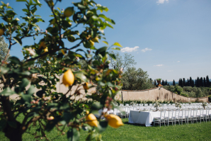 Wedding in Lemon Orchard