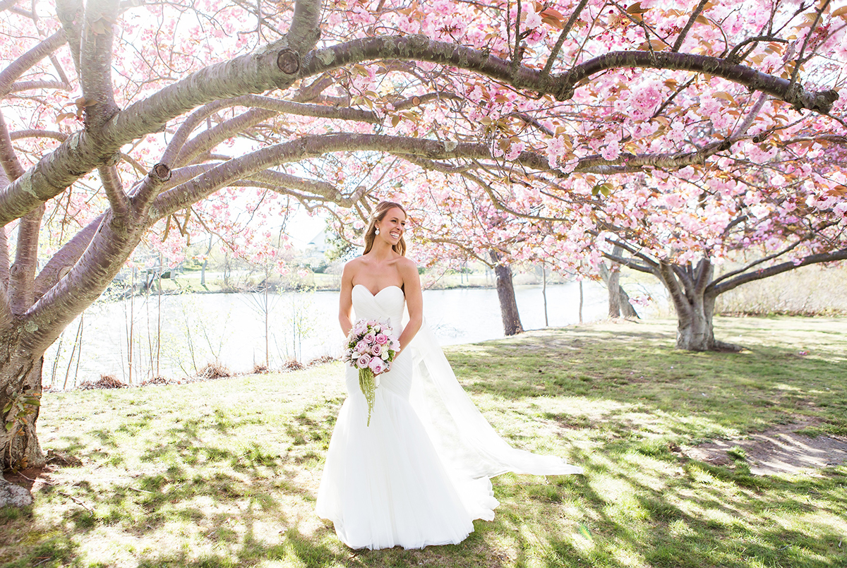 Bride Under Cherry Blossoms
