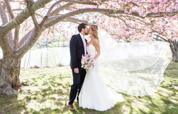Cherry Blossom Wedding Portrait