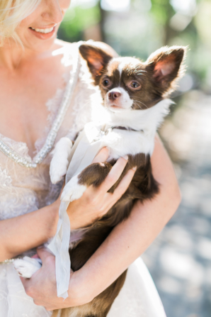 Puppy at Wedding