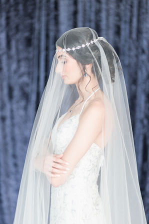 Bride in Davids Bridal