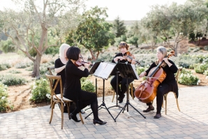 String Quartet at Wedding