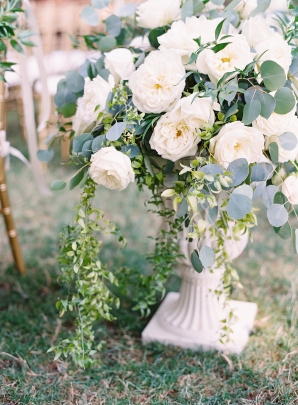 White Garden Rose in Urn
