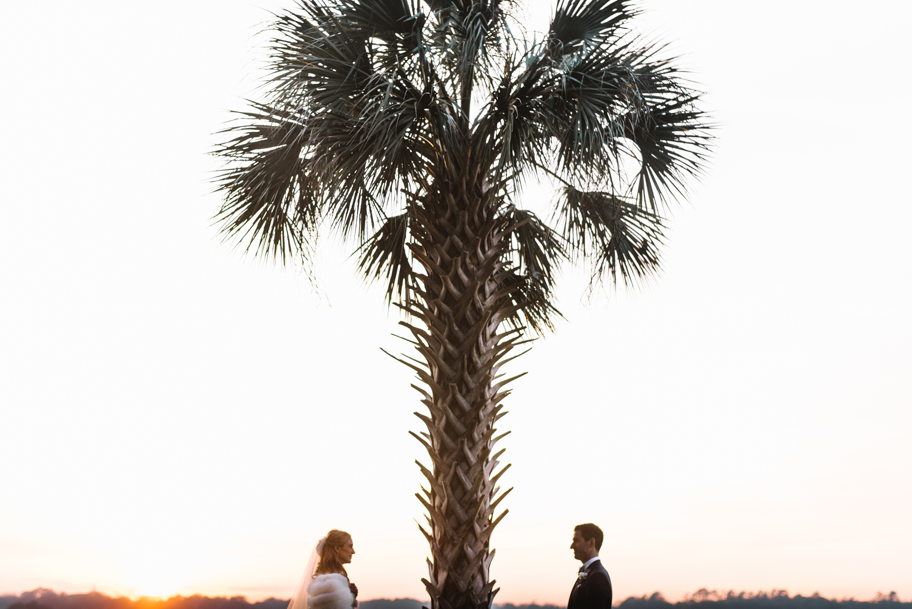 Bride Groom and Palm Tree