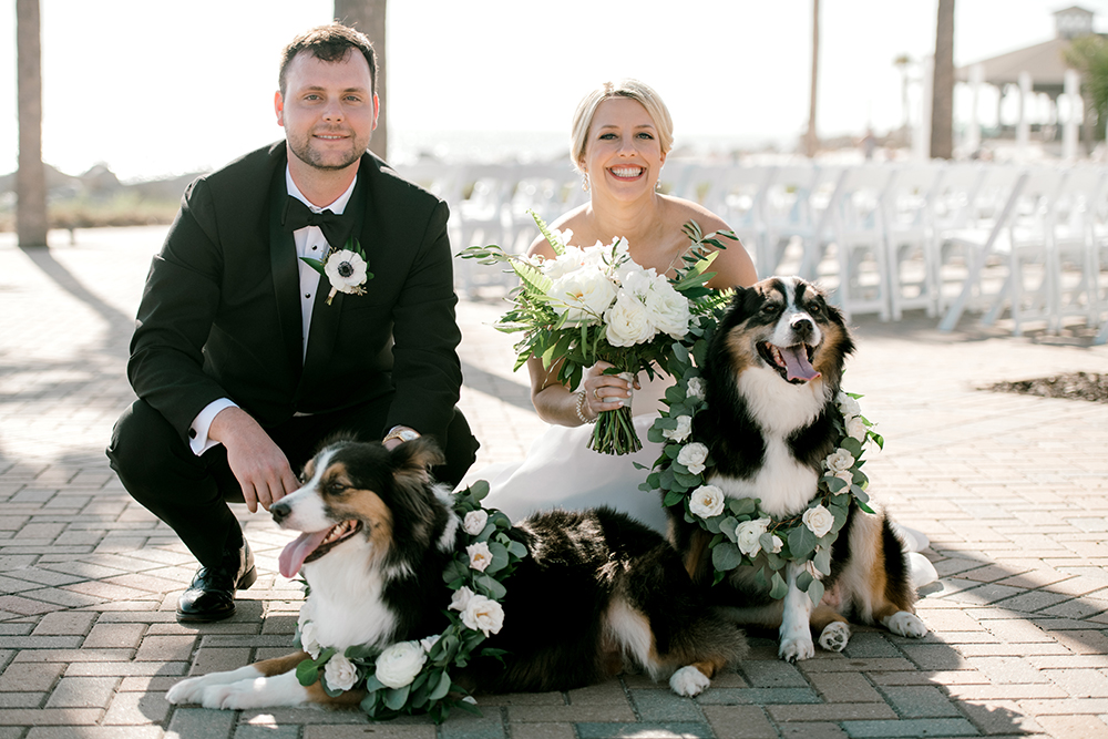 Bride and Groom with Puppies