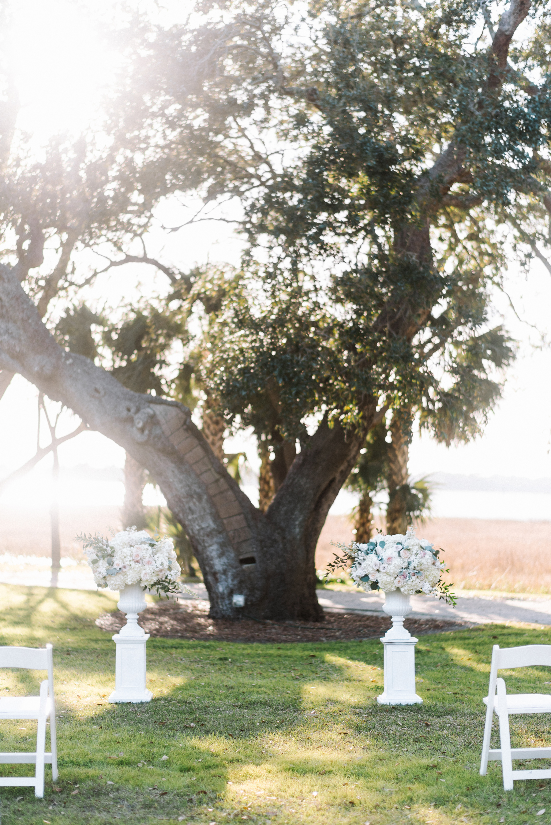 Wedding Ceremony by Huge Tree at Lowndes Grove