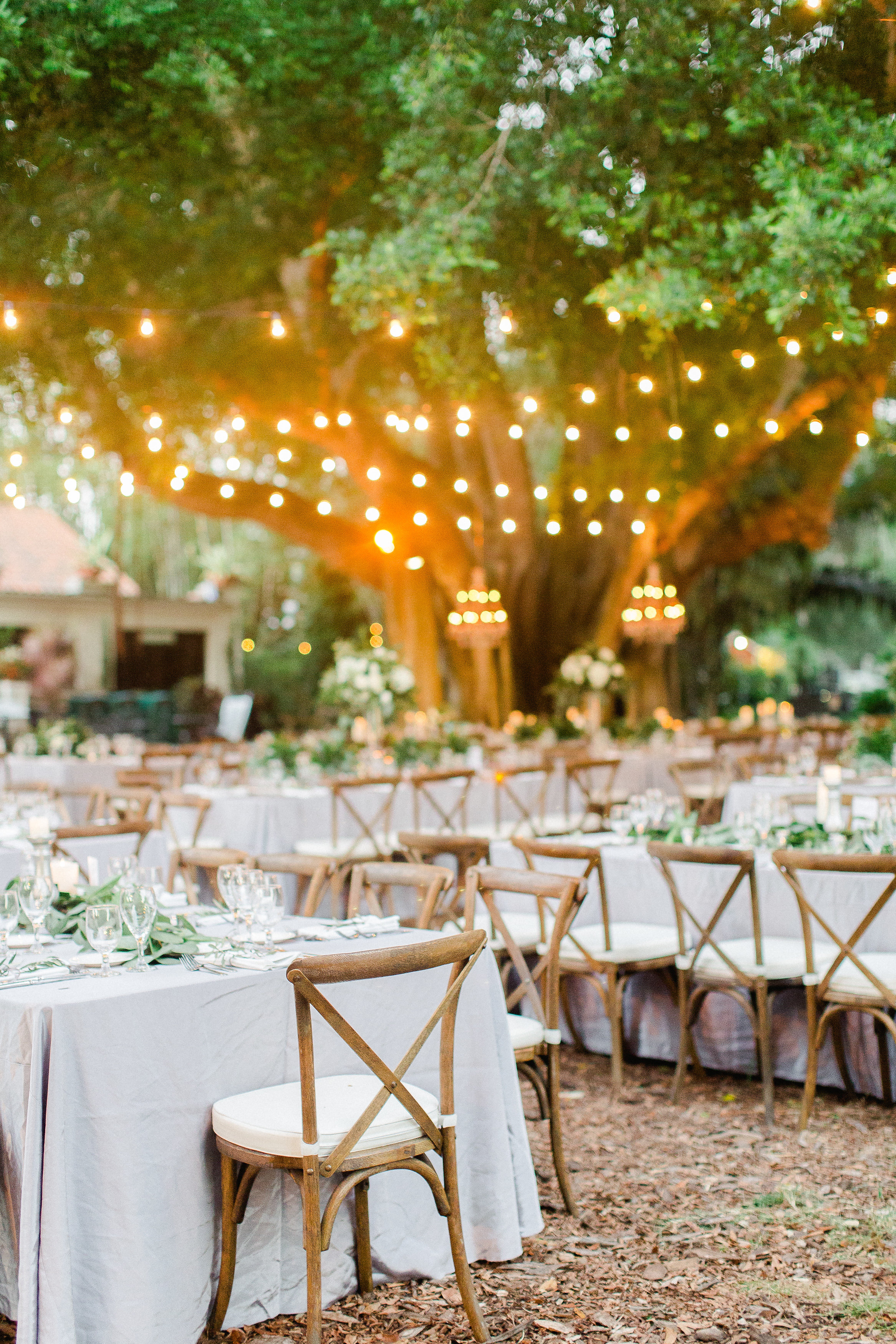 Elegant Outdoor Wedding Reception Twinkle Lights