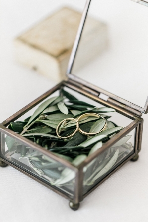 Wedding Rings on Olive Leaf