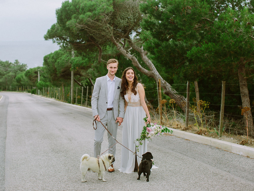 Wedding Picture with Dogs
