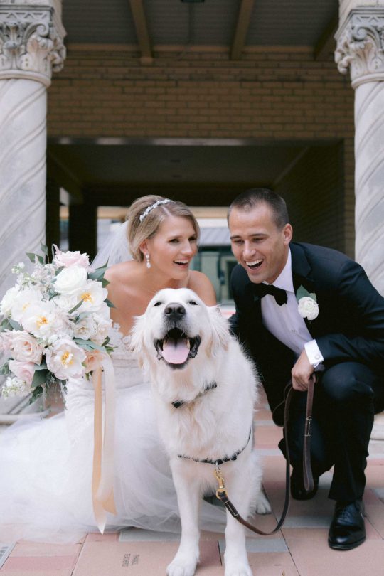 Dog Wedding Portrait