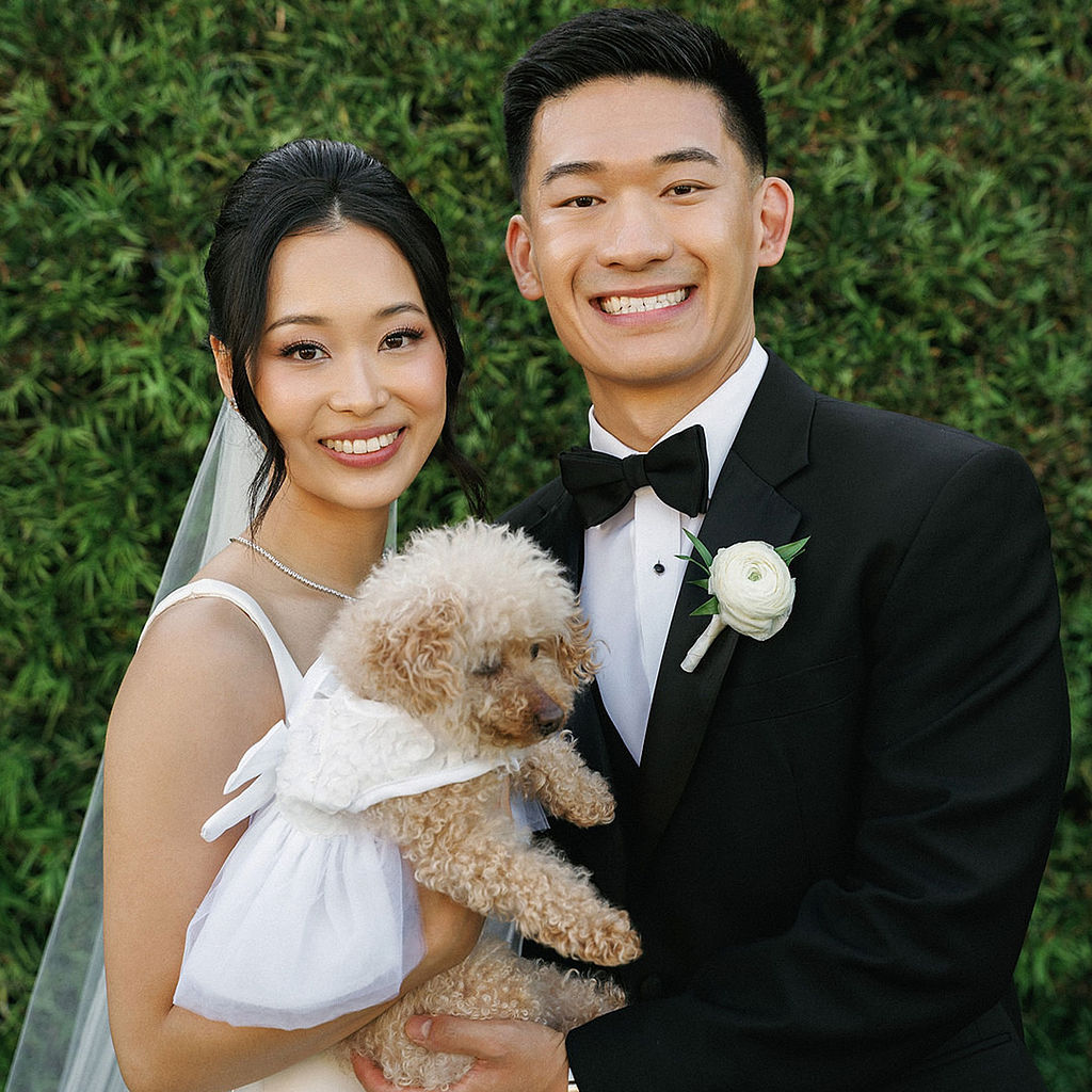 Bride and groom holding their small dog in a white dress for a portrait in front of a green hedge